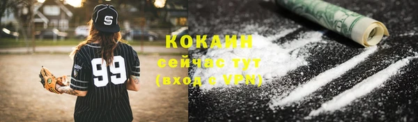 хмурый Алзамай