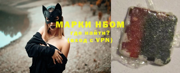 хмурый Алзамай