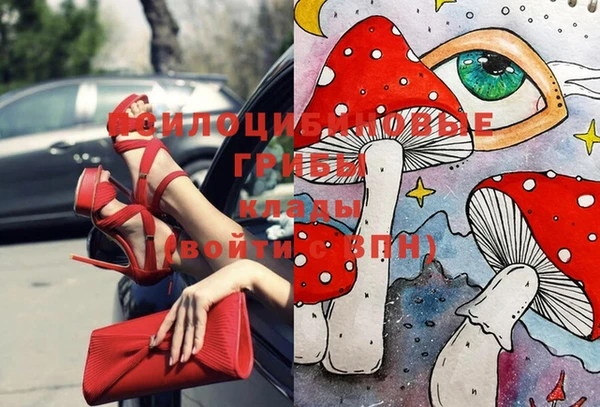 круглые Алексеевка