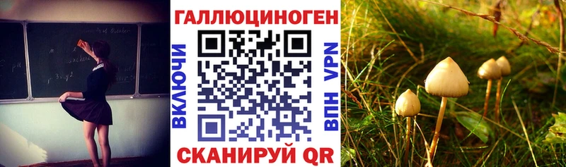 Псилоцибиновые грибы GOLDEN TEACHER  omg ТОР  Севастополь  цены  